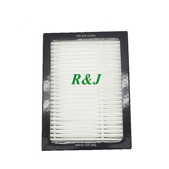 Air filter for home